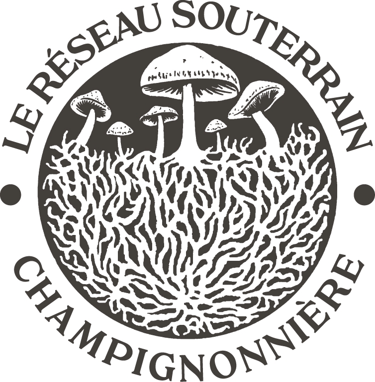 Aucune description de photo disponible.