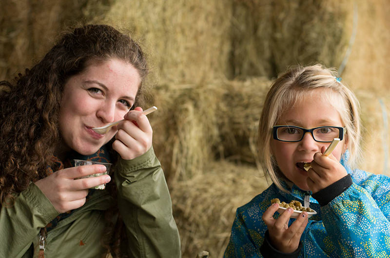 Festival Eastern Townships