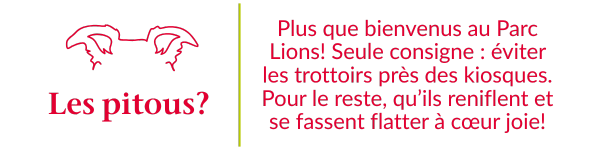 MDS25_pitous_horizontal